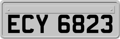 ECY6823
