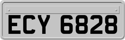 ECY6828