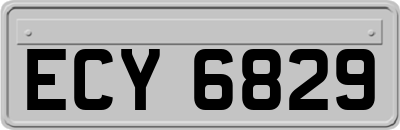 ECY6829