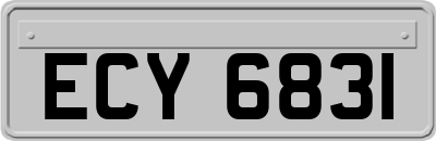 ECY6831