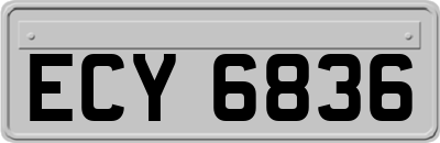 ECY6836
