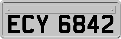 ECY6842