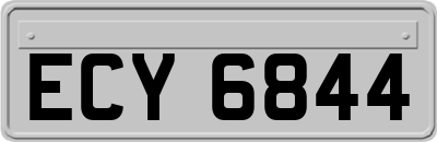 ECY6844
