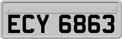ECY6863