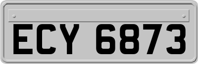 ECY6873