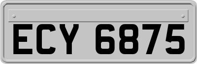 ECY6875