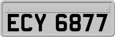 ECY6877
