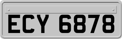 ECY6878