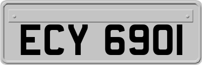 ECY6901