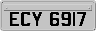 ECY6917