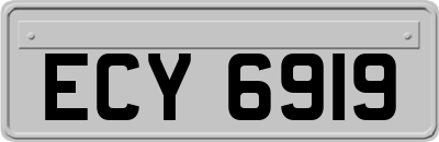 ECY6919