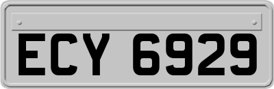 ECY6929