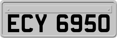 ECY6950