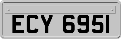 ECY6951