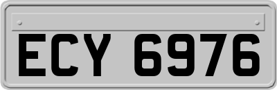 ECY6976
