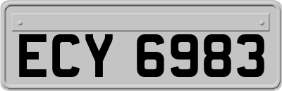 ECY6983