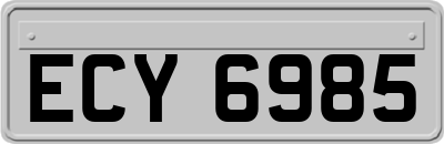 ECY6985