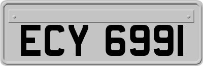 ECY6991