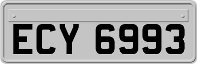 ECY6993
