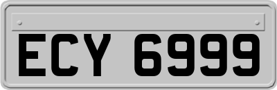 ECY6999
