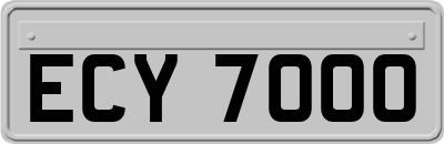 ECY7000