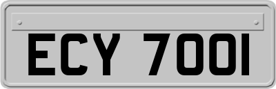 ECY7001