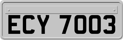 ECY7003