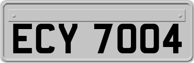 ECY7004
