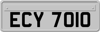 ECY7010