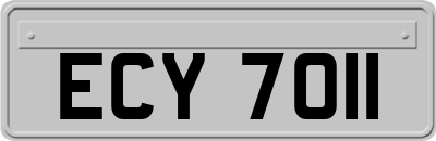 ECY7011