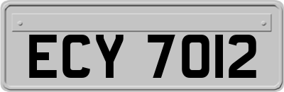 ECY7012