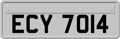 ECY7014
