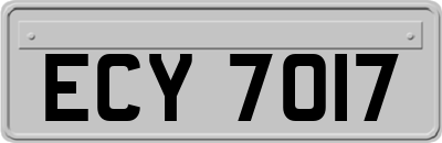 ECY7017