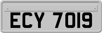 ECY7019
