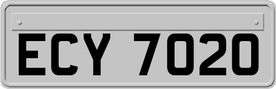 ECY7020