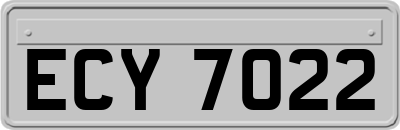 ECY7022