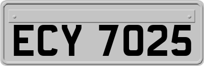 ECY7025