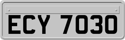ECY7030