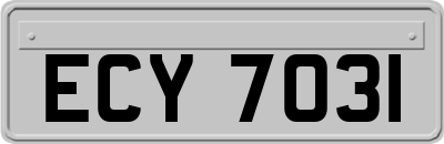 ECY7031
