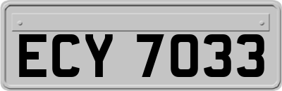 ECY7033