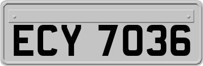 ECY7036