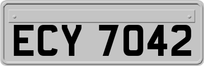 ECY7042
