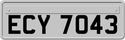 ECY7043