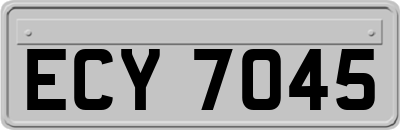 ECY7045