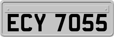 ECY7055