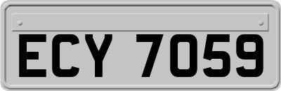 ECY7059