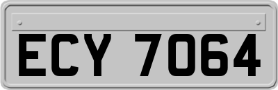 ECY7064