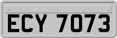 ECY7073