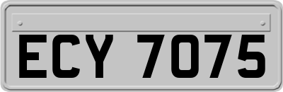 ECY7075