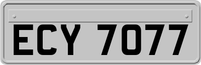 ECY7077